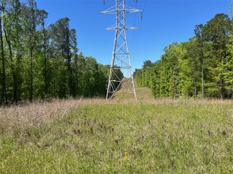 North Crawford County Gem : Culloden : Crawford County : Georgia