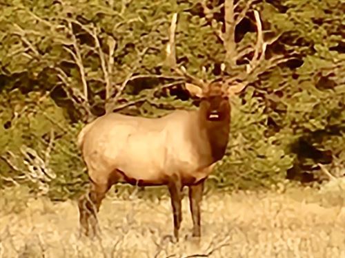 Wilderness Ranch : Regina : Rio Arriba County : New Mexico