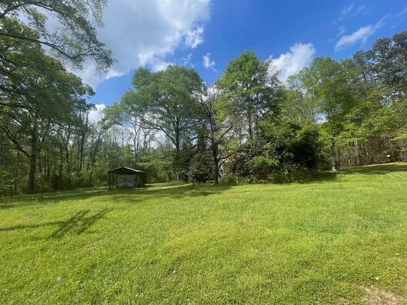 Amite County 38.6 Acres for Sale : Liberty : Amite County : Mississippi
