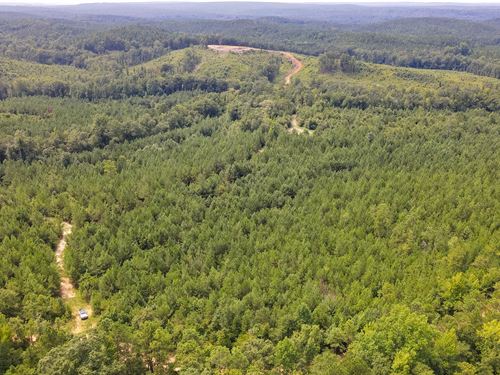 California Woods 1A Tract : Lumpkin : Stewart County : Georgia