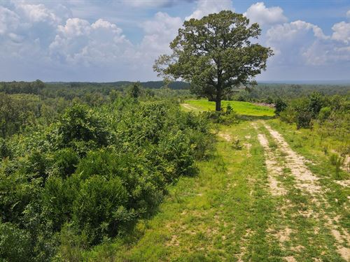California Woods 1B Tract : Lumpkin : Stewart County : Georgia