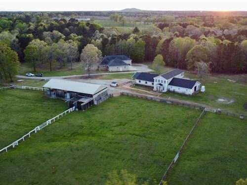 Welcome to Rising Star Farm : Lincolnton : Lincoln County : Georgia