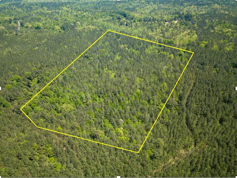 Madison County, 20.14 Acres : Camden : Madison County : Mississippi