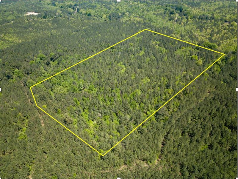 Madison County, 20.14 Acres : Camden : Madison County : Mississippi