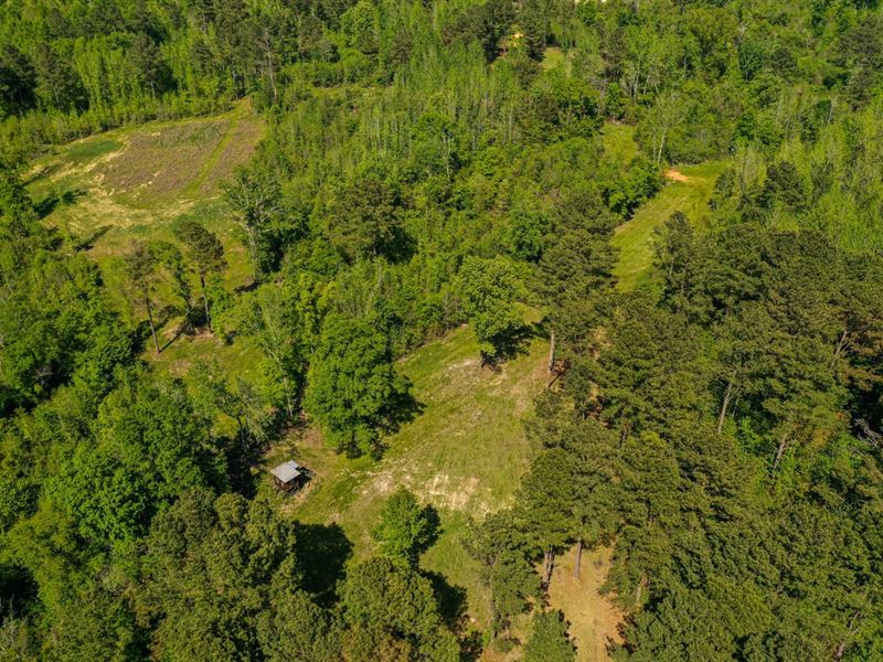 Noxapater 202 : Noxapater : Winston County : Mississippi