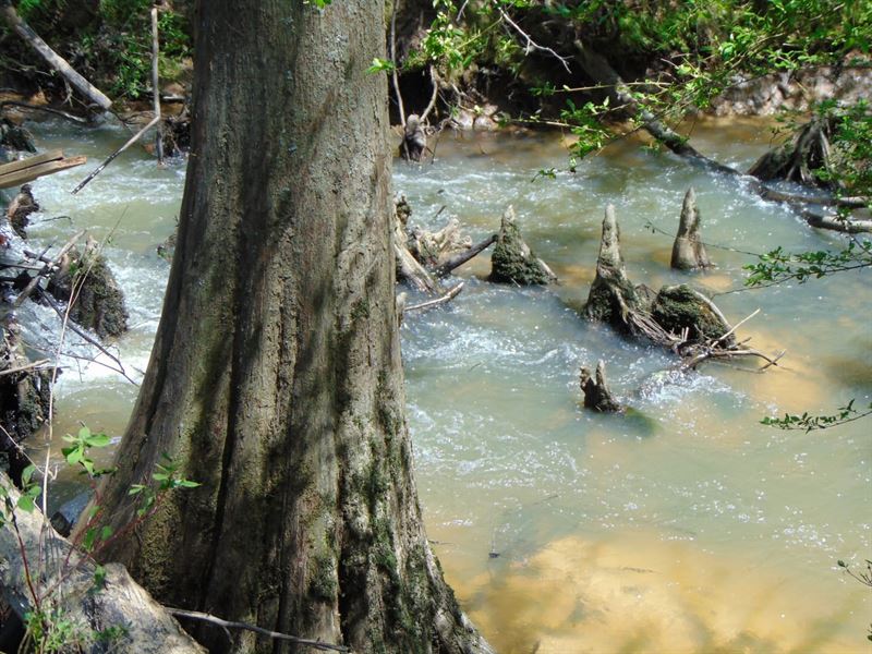 Copiah 179 : Wesson : Copiah County : Mississippi