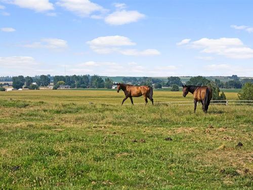 13.35 Acre Equestrian Estate Lot : Caldwell : Canyon County : Idaho