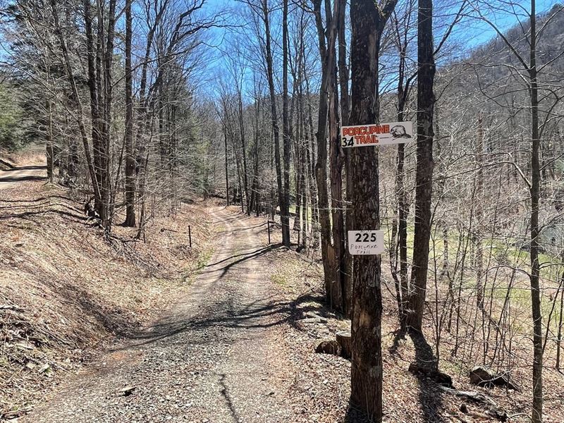 Porcupine Trail, Potter County, 23 : Austin : Potter County : Pennsylvania