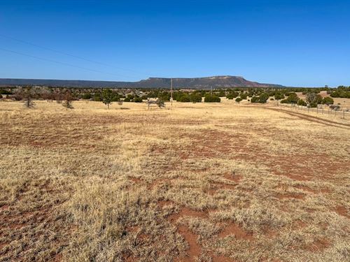 Santa Ana Frontage 33 Acre : Ribera : San Miguel County : New Mexico