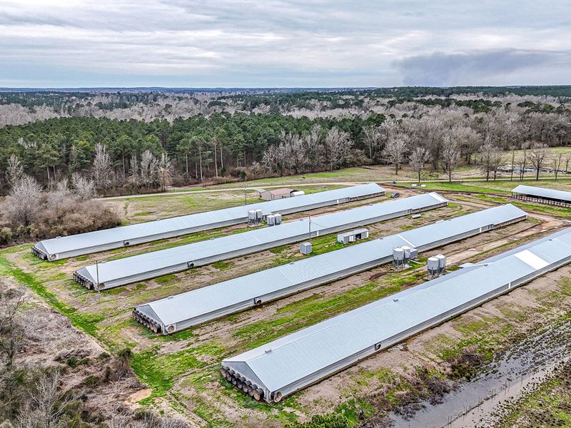 TW Broiler Farm : Gibsland : Bienville Parish : Louisiana