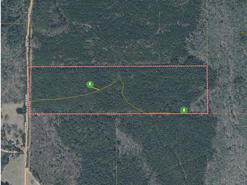 Spay Road 41 Tract, Choctaw Co., MS : McCool : Choctaw County : Mississippi