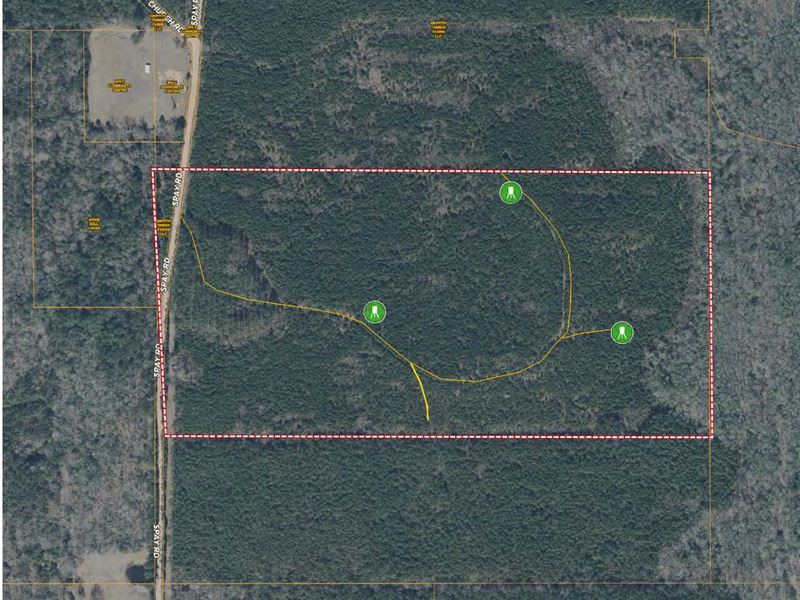 Spay Road 77 Tract, Choctaw Co., MS : McCool : Choctaw County : Mississippi