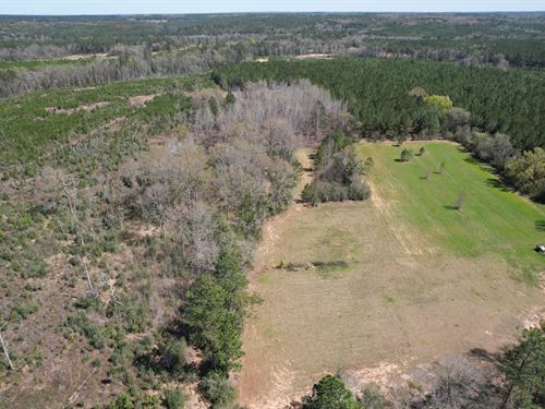 The Home Place, 1000 Ac in Mobile : Mobile : Alabama