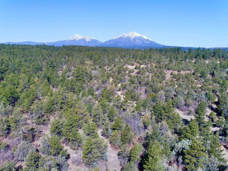 23251 Spirit Mountain Drive, Aguil : Aguilar : Las Animas County : Colorado