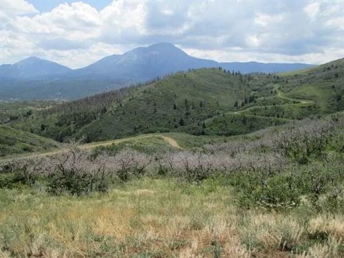 Lot 32 Raspberry Mountain Ranch, LA : La Veta : Huerfano County : Colorado