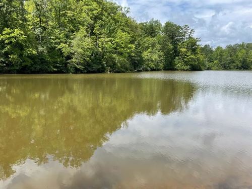 31.25 Acres Tract 3 on Easy Str : Tamassee : Oconee County : South Carolina