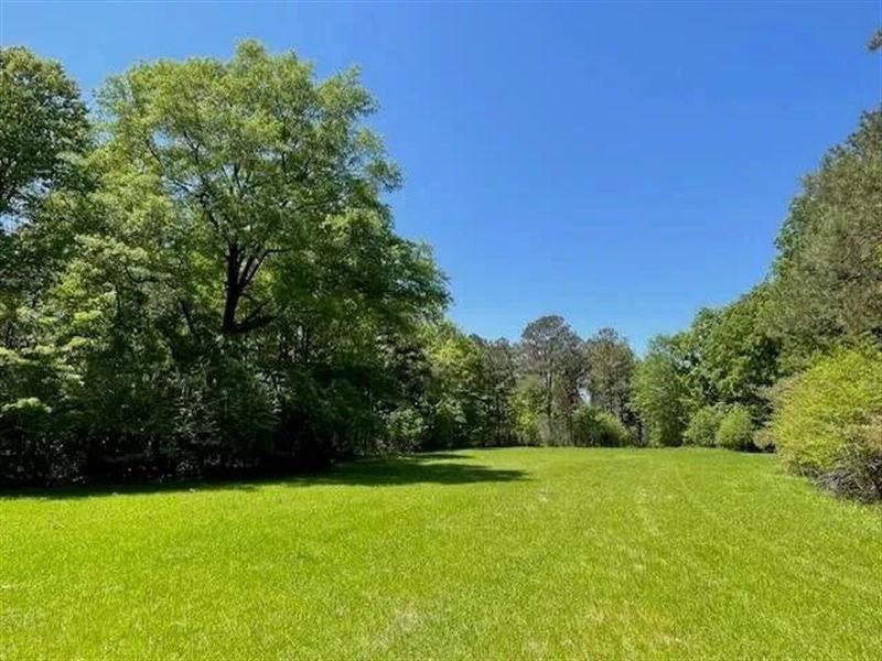 40 Acres for Sale Starkville MS : Starkville : Oktibbeha County : Mississippi