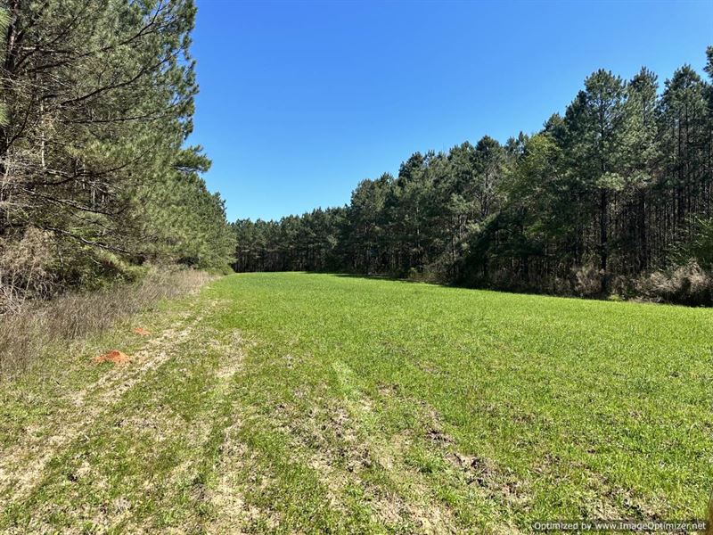 Timber Paradise Located in Decatur : Decatur : Newton County : Mississippi