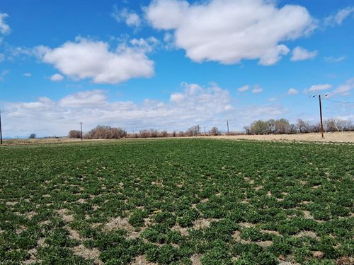Byron Irrigated Parcel : Byron : Big Horn County : Wyoming