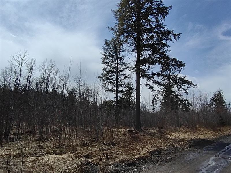 Michigan 40 +/- Acres for Sale : L'anse : Baraga County : Michigan
