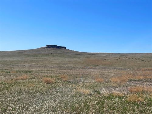 157 Acres, Cheyenne County Crp : Potter : Cheyenne County : Nebraska