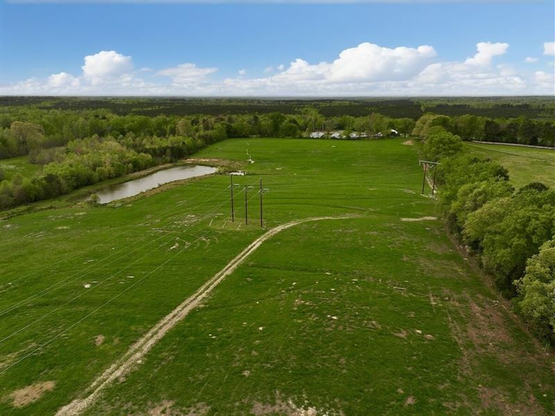 39.31 Acres of Prestine Pasture Lan : Warrenton : Warren County : North Carolina