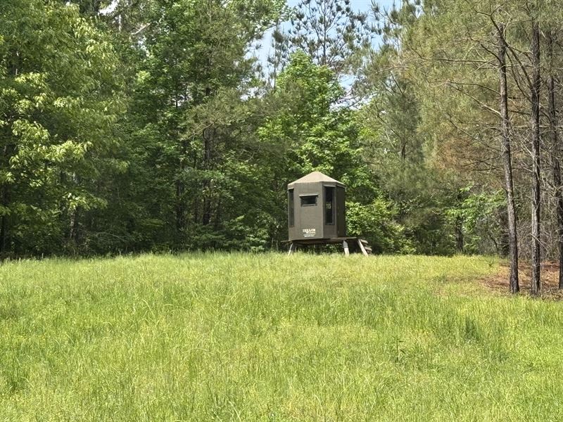 Prefect Outdoor Retreat : Hazelhurst : Copiah County : Mississippi