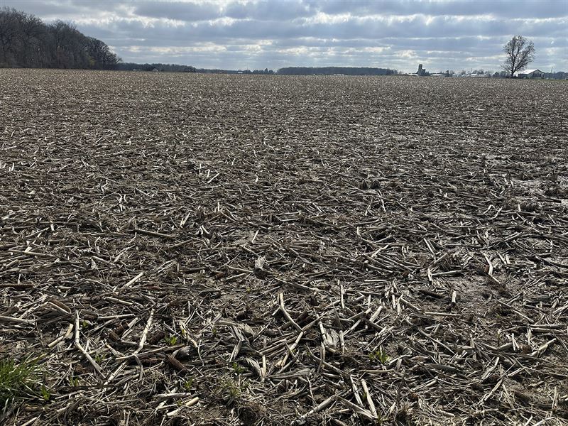 57+/- Ac Auction, Allen County IN : Fort Wayne : Allen County : Indiana