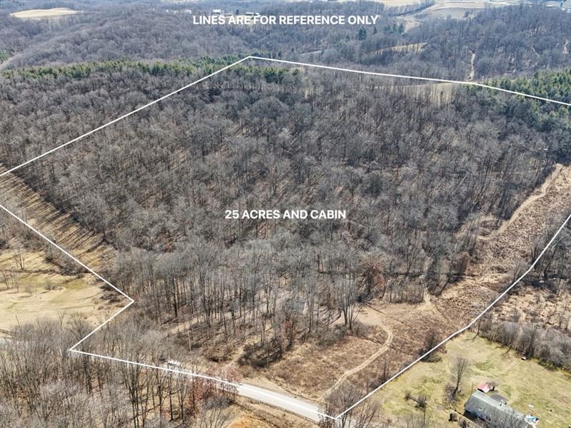 Auction, Bower Rd, Harrison Count : Scio : Harrison County : Ohio
