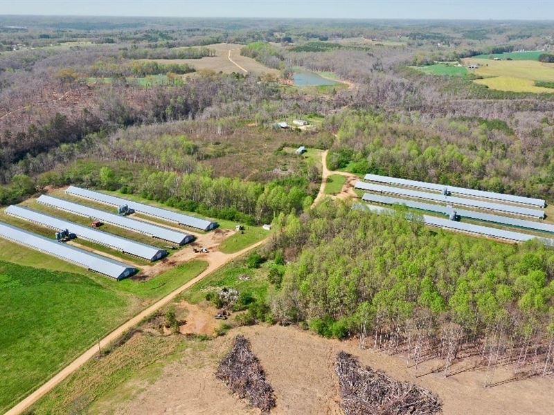 Spain Farm, 8-House Broiler Farm : Bear Creek : Marion County : Alabama