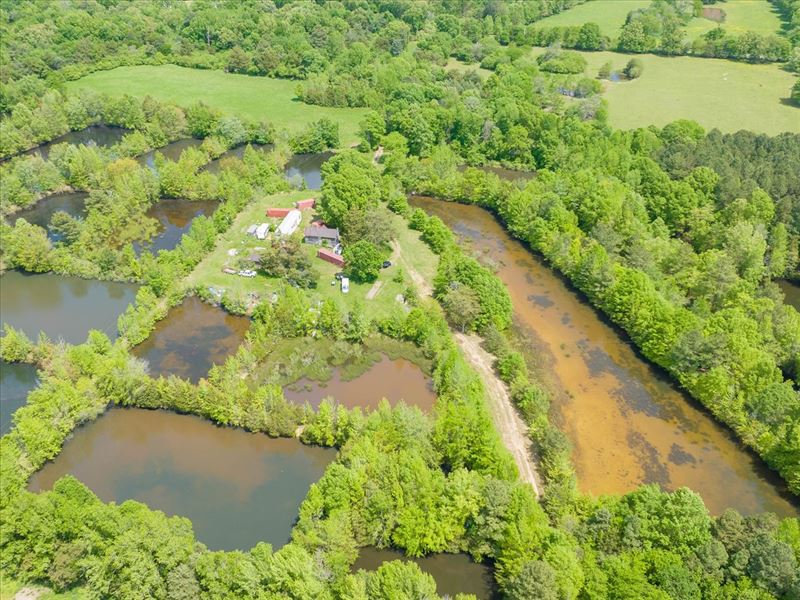 Dozens of Ponds on Rare Lg Acreage : Bear Creek : Chatham County : North Carolina