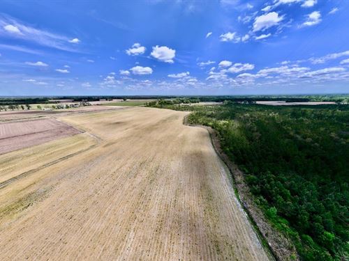 Updated, 19.95 Acres of Multi-Use : Trenton : Jones County : North Carolina