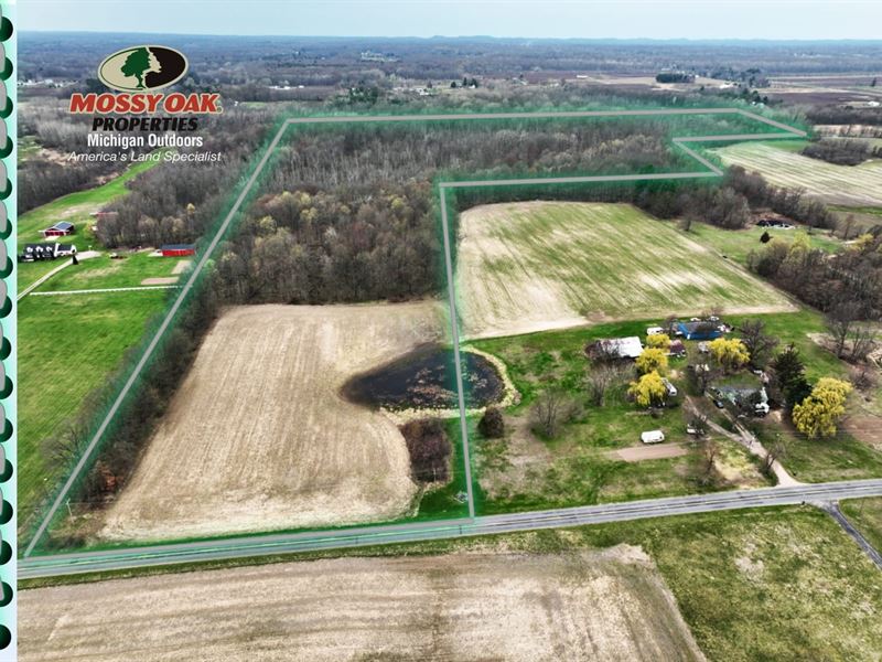 63 Acres Wooded & Wildlife : Covert : Van Buren County : Michigan