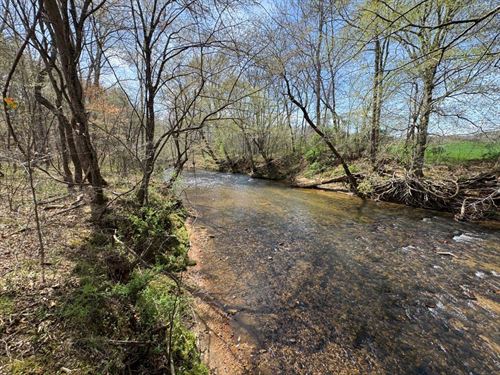 Secluded Farm Waiting for You : Rocky Mount : Franklin County : Virginia