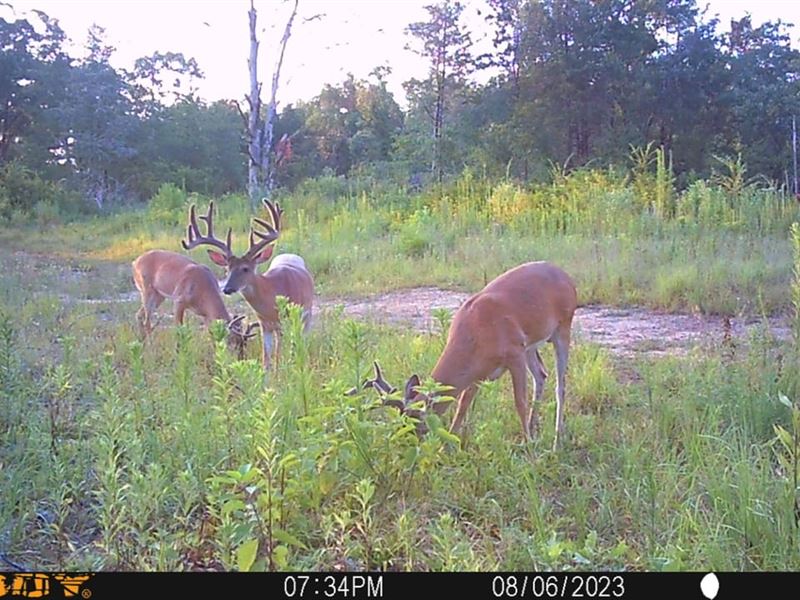 Cecil Prairie 242 : Cecil : Franklin County : Arkansas