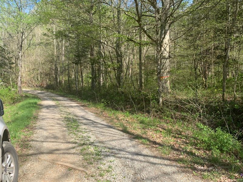 Charter Creek Farm : Edmonton : Metcalfe County : Kentucky