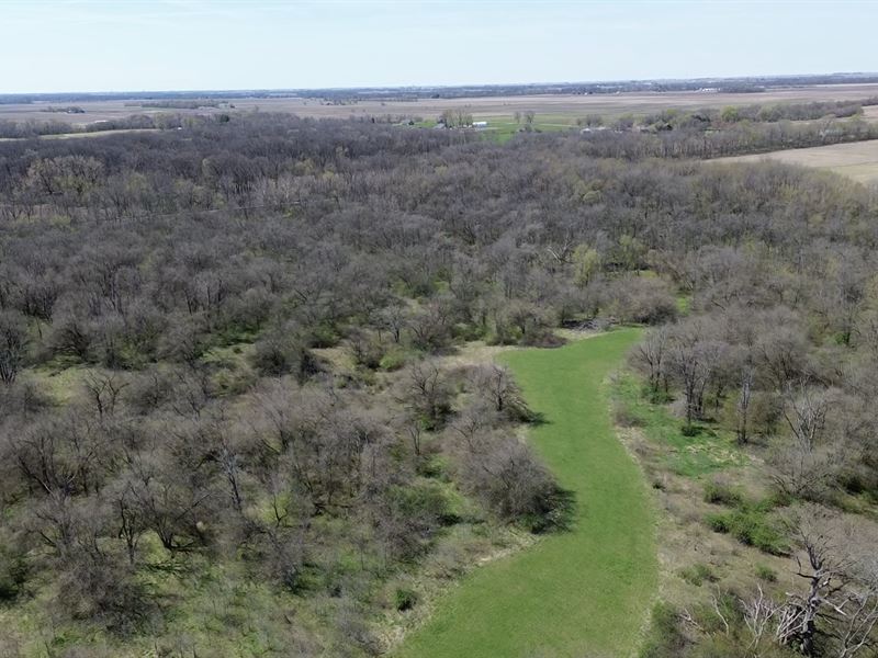 Edgar County, Illinois : Chrisman : Edgar County : Illinois