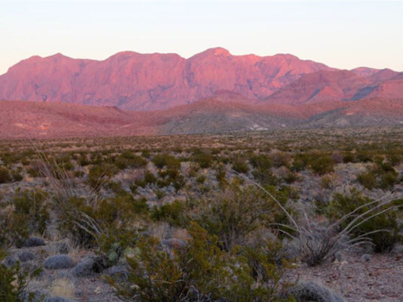 11 Acres in Texas, Only $4,750 Cash : Dell City : Hudspeth County : Texas