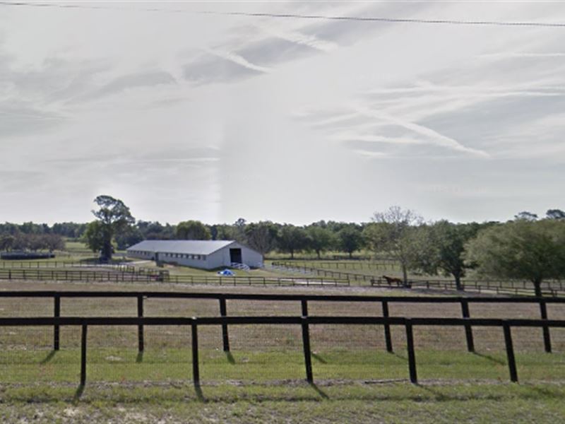 Tiffany Farm 108+ Acres : Ocala : Marion County : Florida