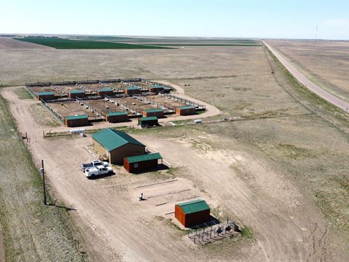 Real Western Wings : Kimball : Nebraska