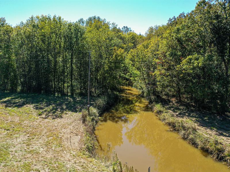 Newton County, 42.26 Acres : Lawrence : Newton County : Mississippi