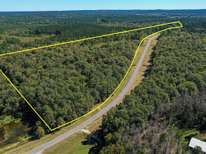 Newton County, 29.88 Acres : Lawrence : Newton County : Mississippi