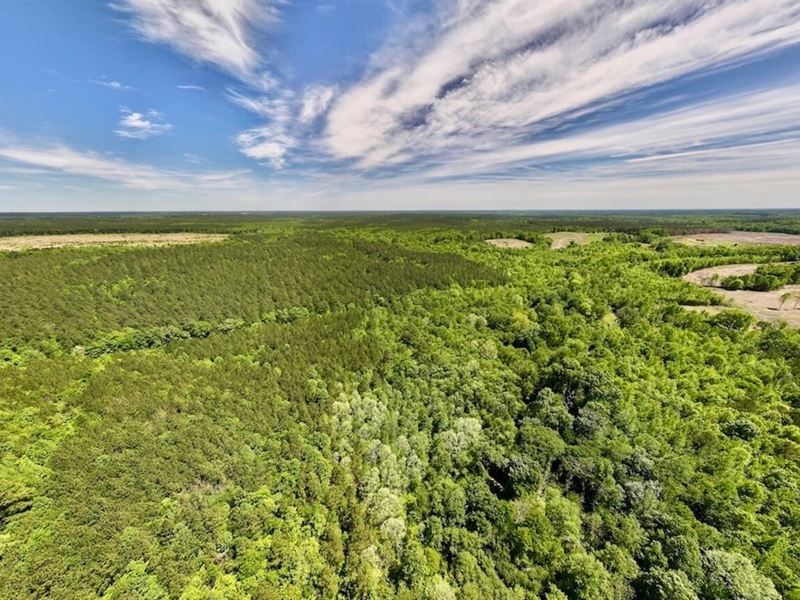 18.75 Acres of Creekfront Hunting : Littleton : Halifax County : North Carolina