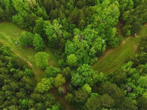 160 Acres in Lauderdale County : Lauderdale : Mississippi