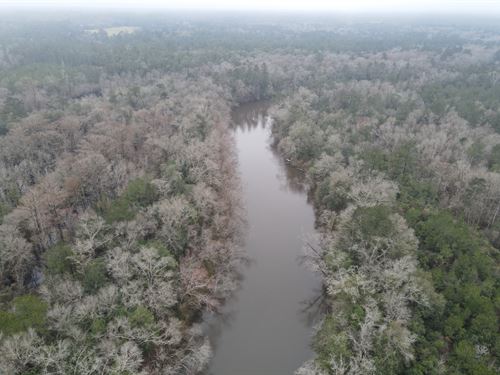 Escatawpa River Tract E-116 Acres : Lucedale : George County : Mississippi