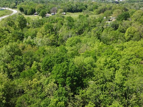 12 Wooded Acres in The Heart of th : Marshall : Searcy County : Arkansas