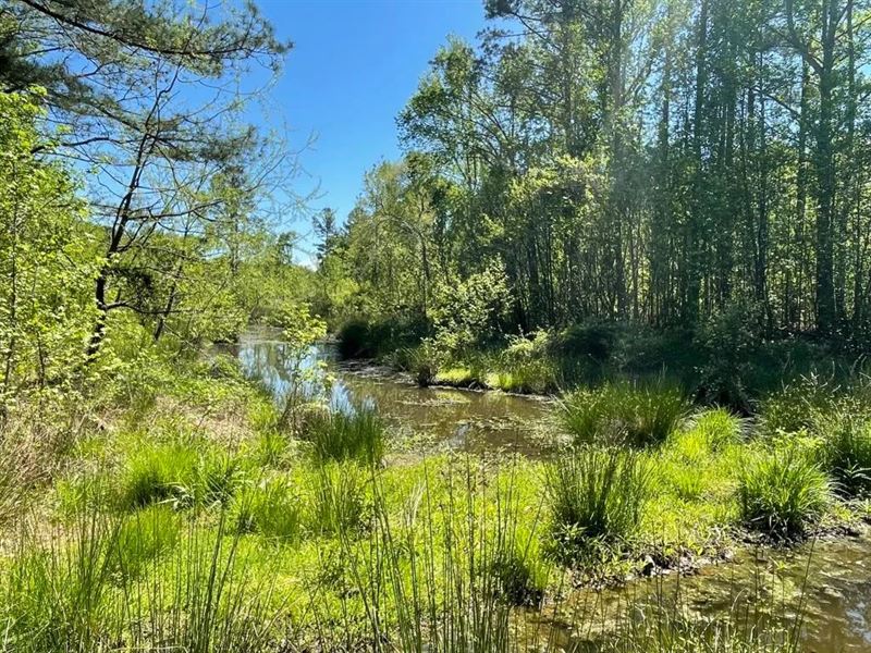 36.37 Acres On 440 Mt. Carmel : Abbeville : Abbeville County : South Carolina