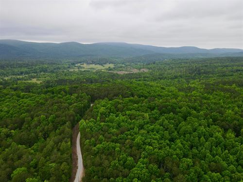 Reduced, Cheaha Mtn Preserve 165 : Delta : Clay County : Alabama