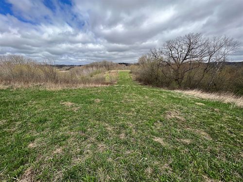 17 Acres Buffalo County : Independence : Buffalo County : Wisconsin