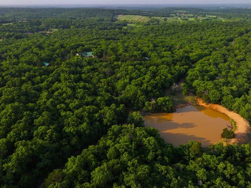 Timber Ridge Ranch 159.2 Acre in Bo : Bowie : Montague County : Texas